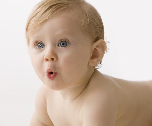 Crawler Nutrition Ideas