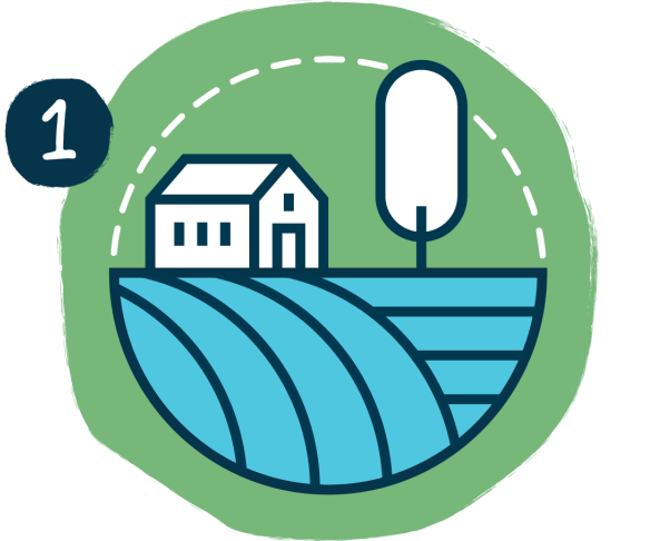 heavy metals safety checks in baby food