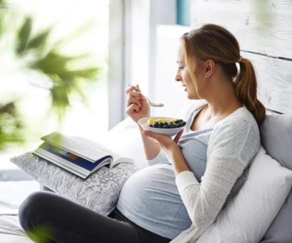 Gerber Prenatal Gummies