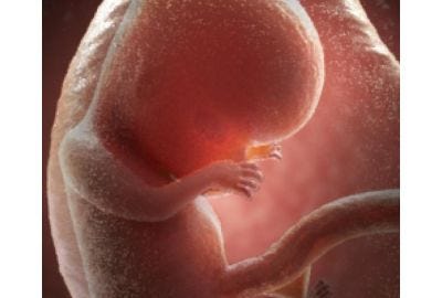 Pregnancy Week ten