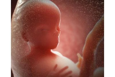 Pregnancy Week 14