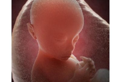 Pregnancy Week 19