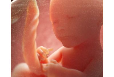 Pregnancy Week 27