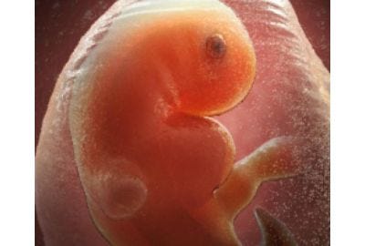 Pregnancy Week Six through 9