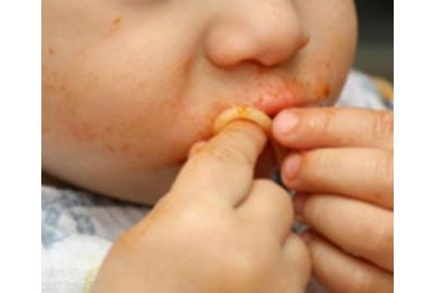 Choosing Foods for Crawler