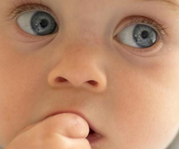 Food Groups for Crawler