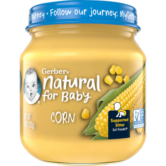 Baby Food Puree in Glass Jars Puree Type 1st Foods Gerber