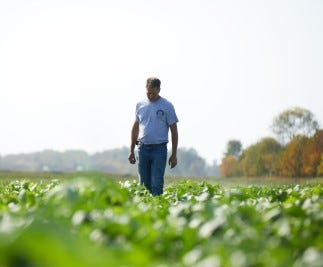 Gerber Organic baby food