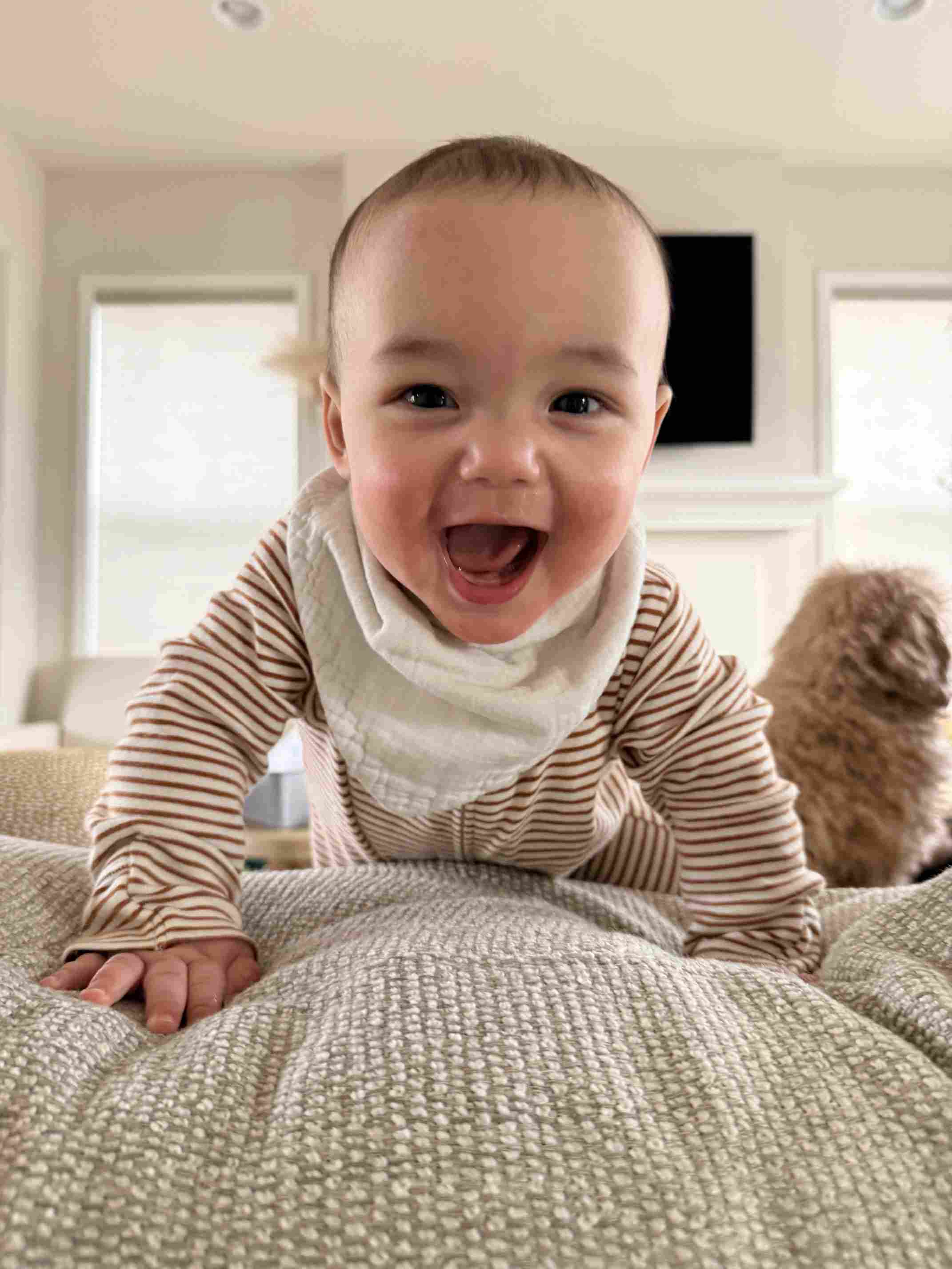 gerber baby contest 2021