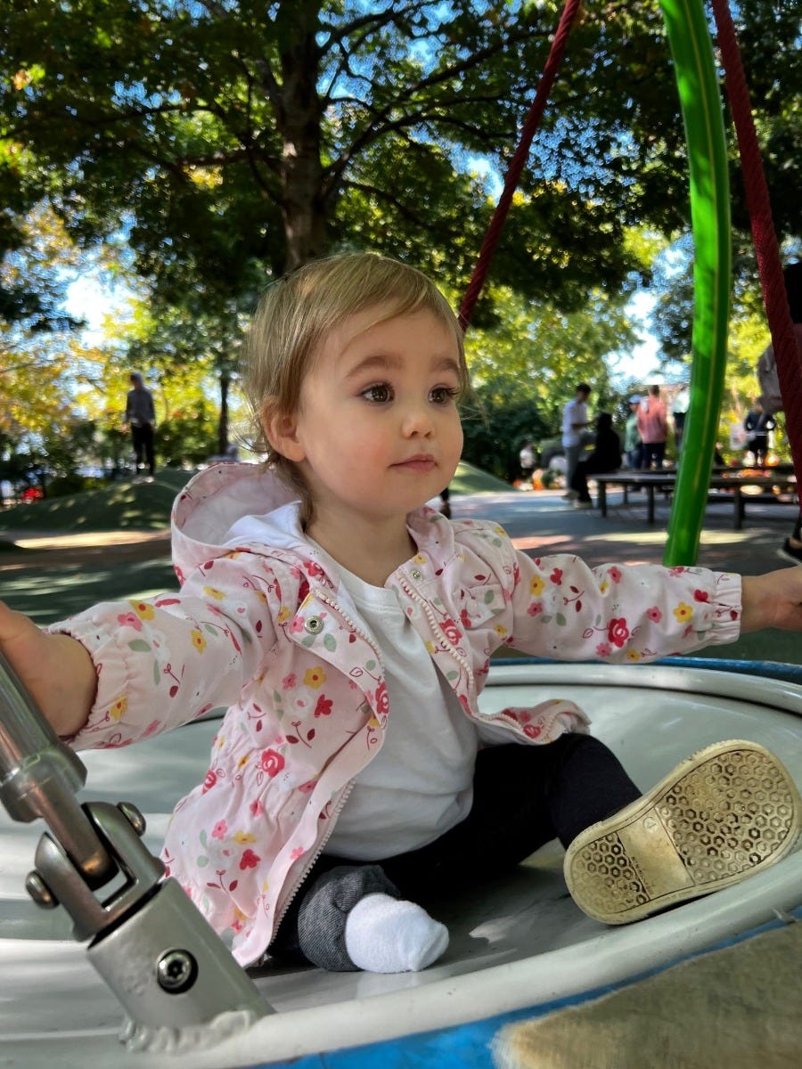 Gerber PhotoSearch 2022 Isa