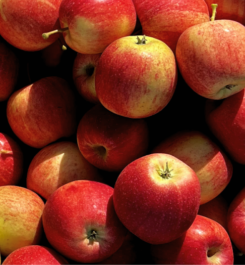 apples