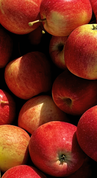 apples